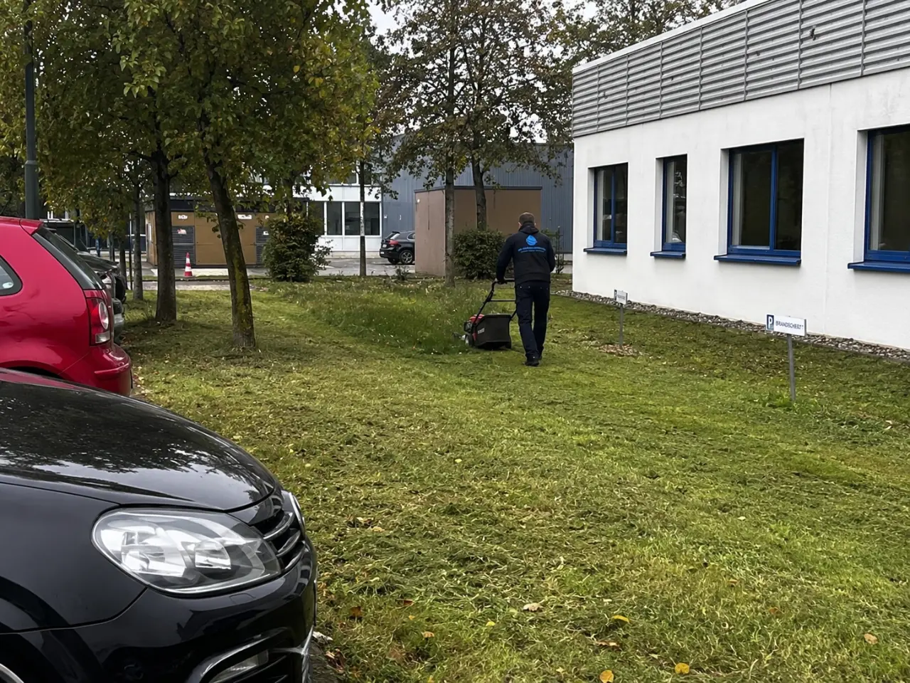 Gepflegte Grünanlagen einer Immobilie in Gelsenkirchen